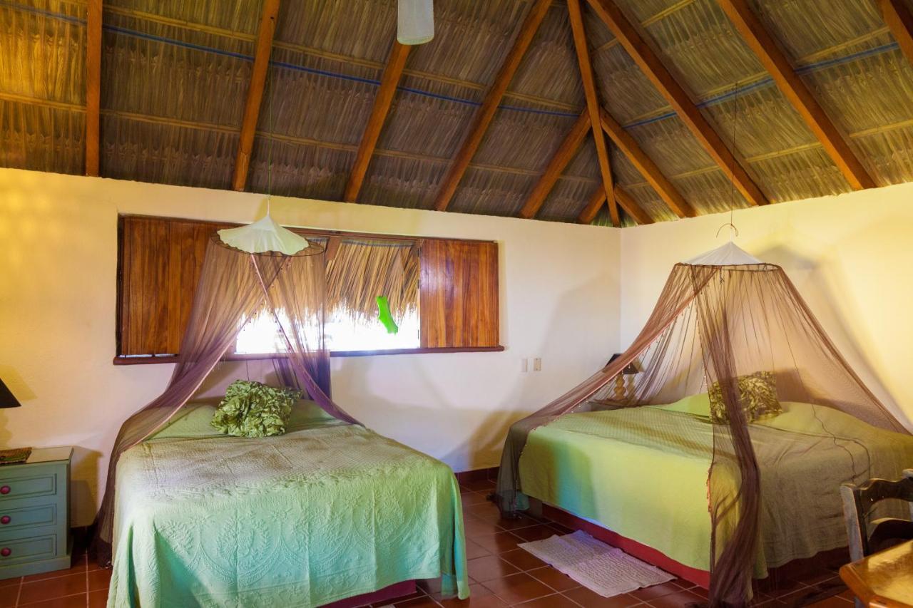 The Resort At Majahua Palms Troncones Eksteriør bilde